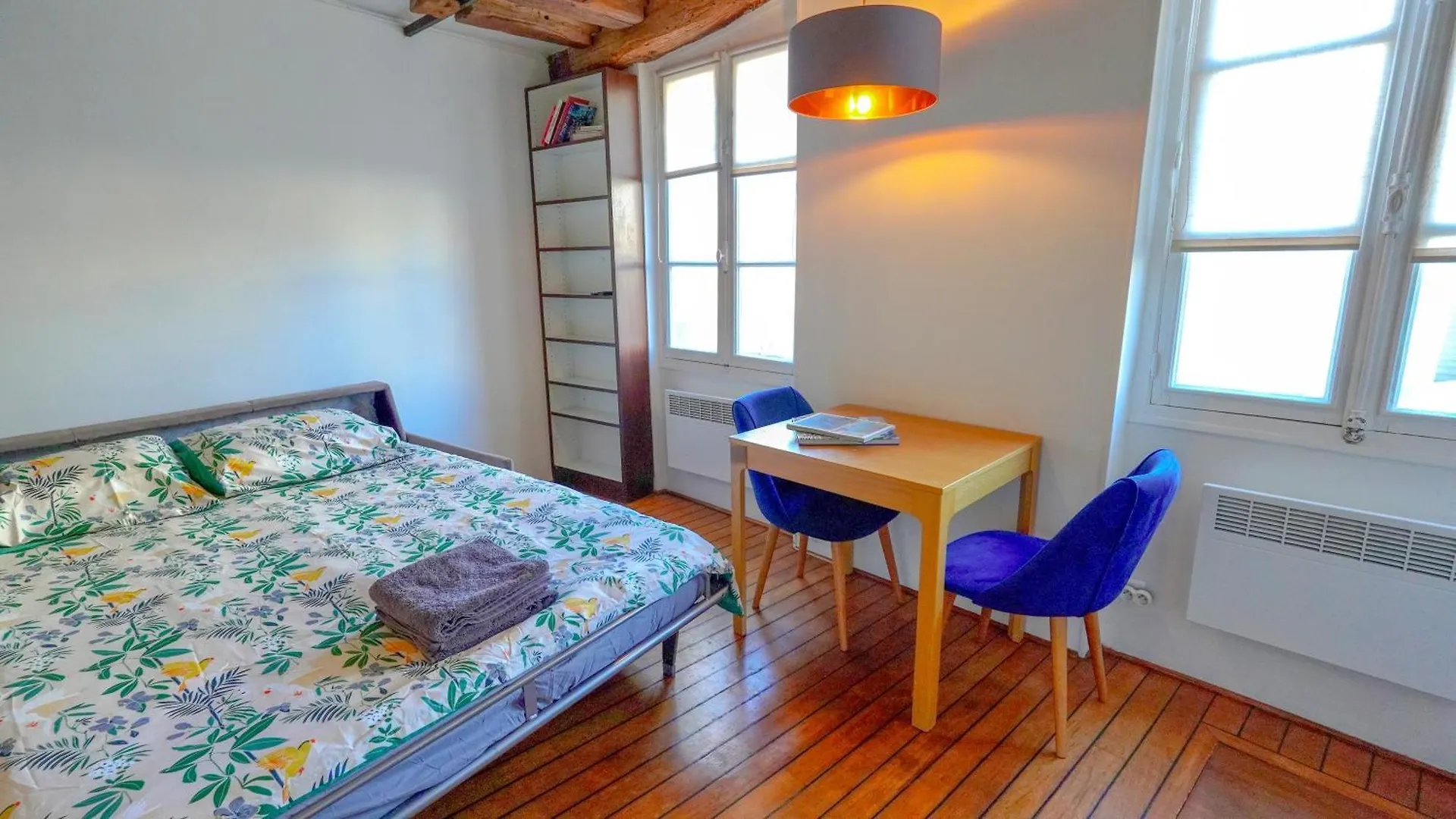 公寓 Romantic Studio At Quartier Latin 巴黎 法国